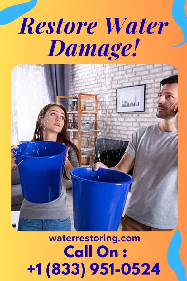 water restoration Expert Damage Restoration Services Dexter
