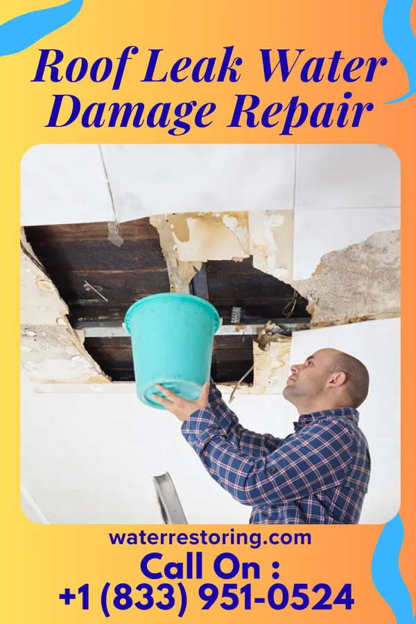 Roof Leak Water Damage Repair in Dexter, MO