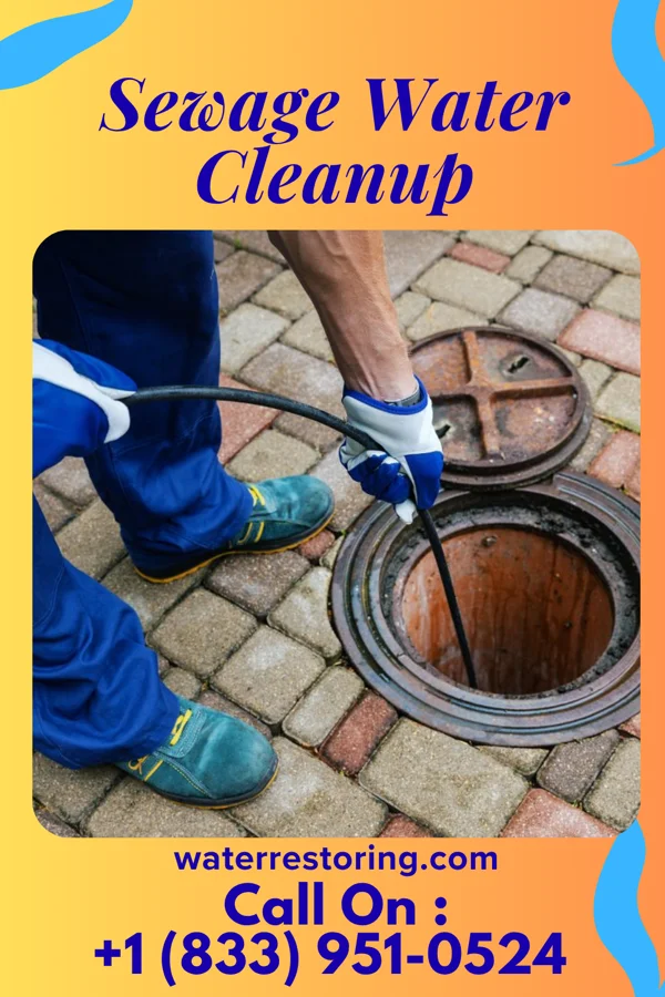 Sewage Water Cleanup in Dexter, MO